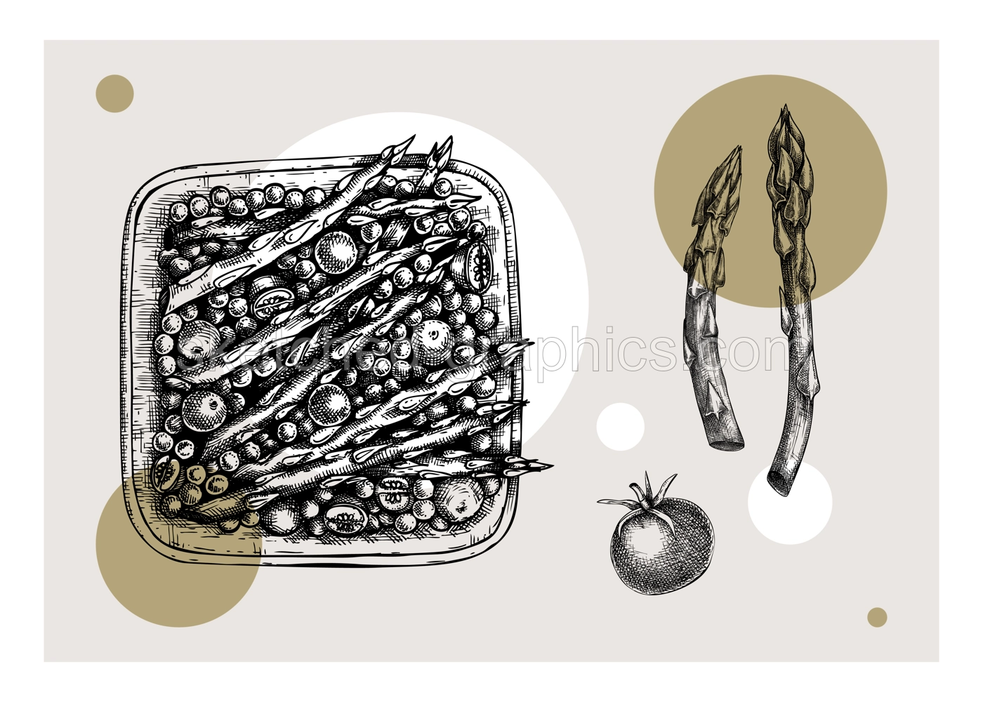 Cooked asparagus with pea and tomatoes drawing. Autumn food vector sketch. Thanksgiving day dinner menu element. Traditional autumn vegetables outline. Asparagus in collage style Illustration